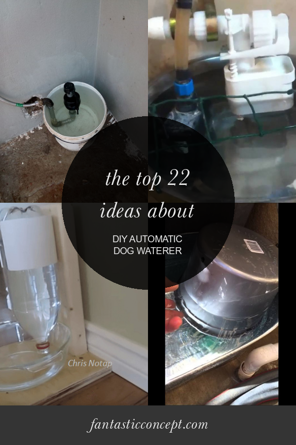 The top 22 Ideas About Diy Automatic Dog Waterer Home, Family, Style